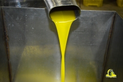 Risultato finale Olio extravergine di oliva di ottima qualità